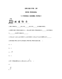 北师大版数学九年级 上册 第四章 4