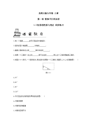 北师大版数学九年级 上册 第一章 1