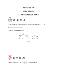 北师大版数学九年级 上册 第四章 4