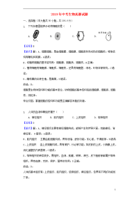 2020年中考生物真题试题（含解析1）新人教版