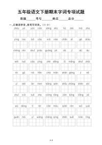 小学语文部编版五年级下册期末字词专项试题