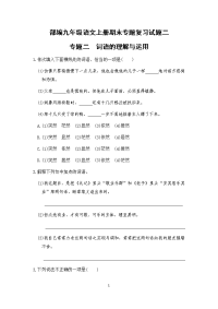 部编九年级语文上册期末专题复习试题二