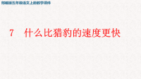 什么比猎豹的速度更快【部编版PPT】