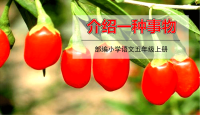 五年级上册语文课件-习作：介绍一种事物 (共17张PPT)部编版