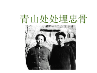 人教版5年级上语文课件：青山处处埋忠骨