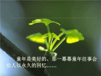 部编版五年级上册语文《 桂花雨》课件  (9)