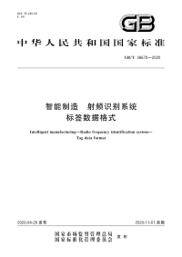 GBT 38670-2020智能制造 射频识别系统标签数据格式