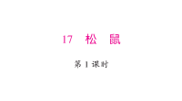 松鼠PPT习题课件