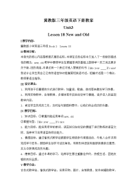 冀教三年级下unitLesson  New and old