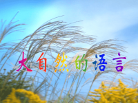 三年级语文下册大自然的语言