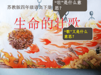 生命的壮歌学科信息语文苏教四年级下