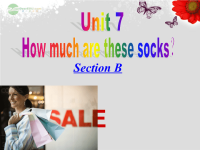 七年级英语上册Unit7HowmucharethesesocksSectionB新版人教新目标版