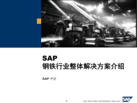 SAP钢铁行业整体解决方案