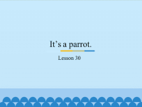 三年级下册英语课件－Unit5 It’s a parrot