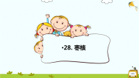 28《枣核》课件_1