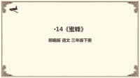 14《蜜蜂》课件