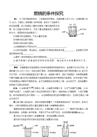 2019年中考化学专题突破：燃烧的条件探究