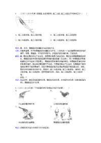中考生物19动物的运动和行为二轮专项练习