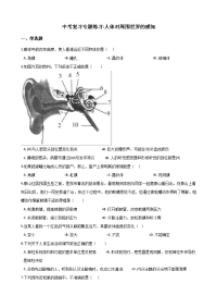 中考生物复习专题训练人体对周围世界的感知含解析