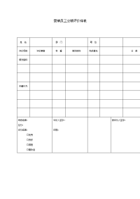 营销员工业绩评价样表