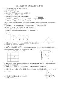 武汉市历年中考数学模拟试题
