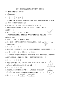河南省三门峡市中考数学一模试卷解析版