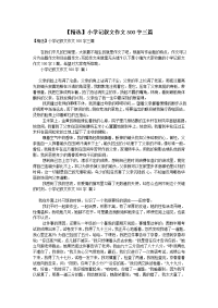 【精选】小学记叙文作文500字三篇