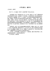 小学记叙文：做寿司