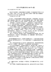 关于小学记叙文作文400字5篇