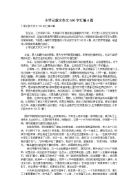 小学记叙文作文500字汇编6篇