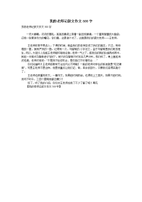 我的老师记叙文作文500字