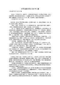 小学记叙文作文500字5篇