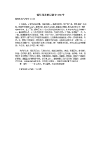描写母亲的记叙文350字