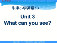 牛津译林苏教版小学英语二下《Unit 3 What can you see》PPT课件 (1)