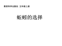 教科版五年级上册科学课件 - 《蚯蚓的选择》  (15)