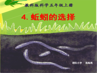 教科版五年级上册科学课件 - 《蚯蚓的选择》  (12)