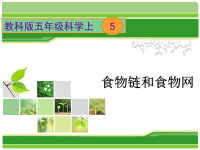 教科版五年级上册科学课件－《食物链和食物网》 (43)