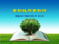 教科版五年级上册科学课件－《食物链和食物网》 (61)