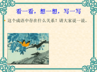 教科版五年级上册科学课件－《食物链和食物网》 (13)