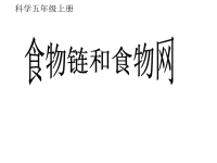 教科版五年级上册科学课件－《食物链和食物网》 (36)