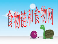 教科版五年级上册科学课件－《食物链和食物网》 (97)