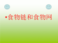 教科版五年级上册科学课件－《食物链和食物网》 (32)