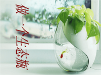 教科版五年级上册科学课件-《做一个生态瓶 》 (10)