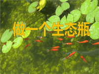 教科版五年级上册科学课件-《做一个生态瓶 》 (6)