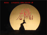 教科版五年级上册科学课件-《光和影》 (13)