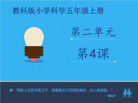教科版五年级上册科学课件 《光的反射》 (2)