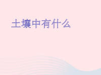 五年级科学上册3土壤中有什么