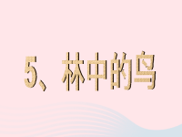 五年级科学上册第5课林中的鸟课件1鄂教版