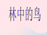 五年级科学上册第5课林中的鸟课件2鄂教版