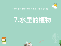 三年级科学下册第二单元植物与环境7水里的植物课件2苏教版